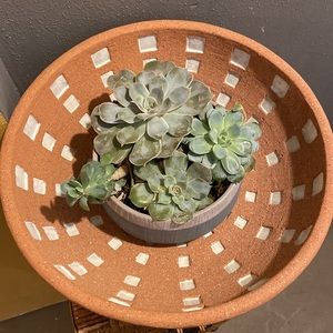 NWT PIER 1 Terracotta 12.5” Diameter Decorative Bowl